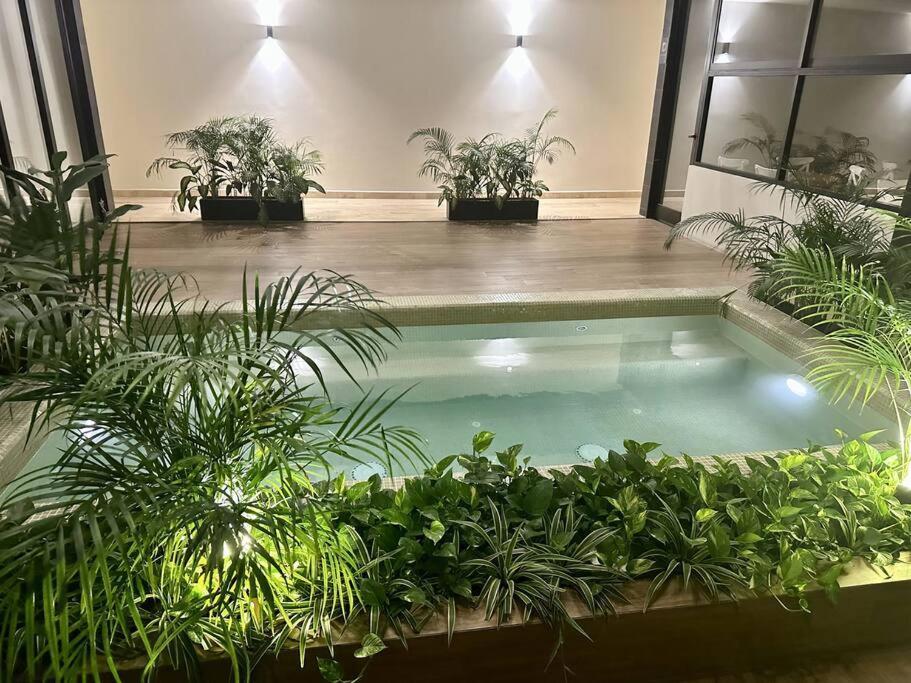 2 Beds Pool View Modern Apt/parking, Gym, Rooftop - 405 Musa * Playa del Carmen
