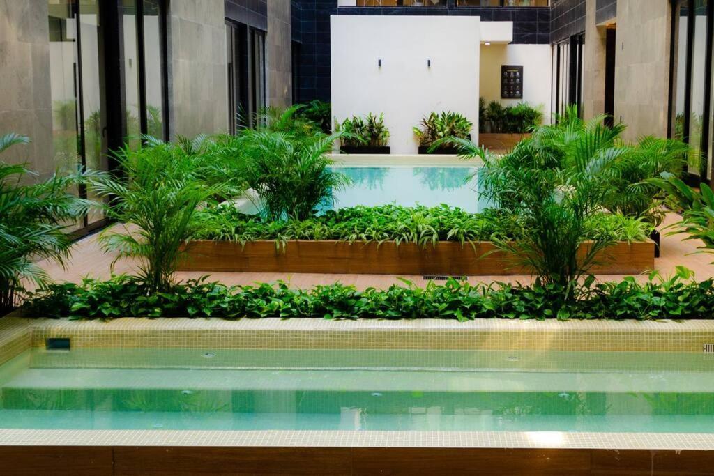 2 Beds Pool View Modern Apt/parking, Gym, Rooftop - 405 Musa Playa del Carmen
